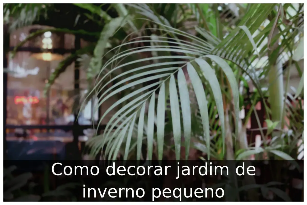 Como decorar jardim de inverno pequeno