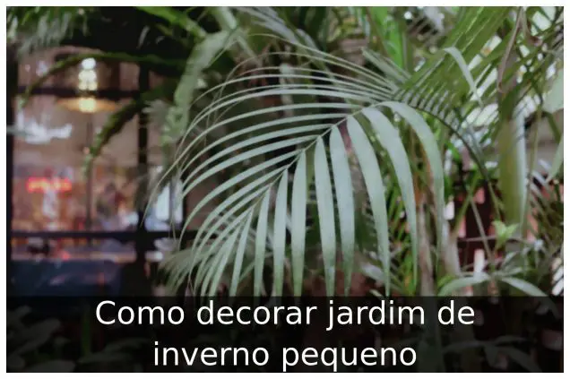 Como decorar jardim de inverno pequeno