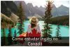 Como estudar inglês no Canadá Como estudar inglês no Canadá