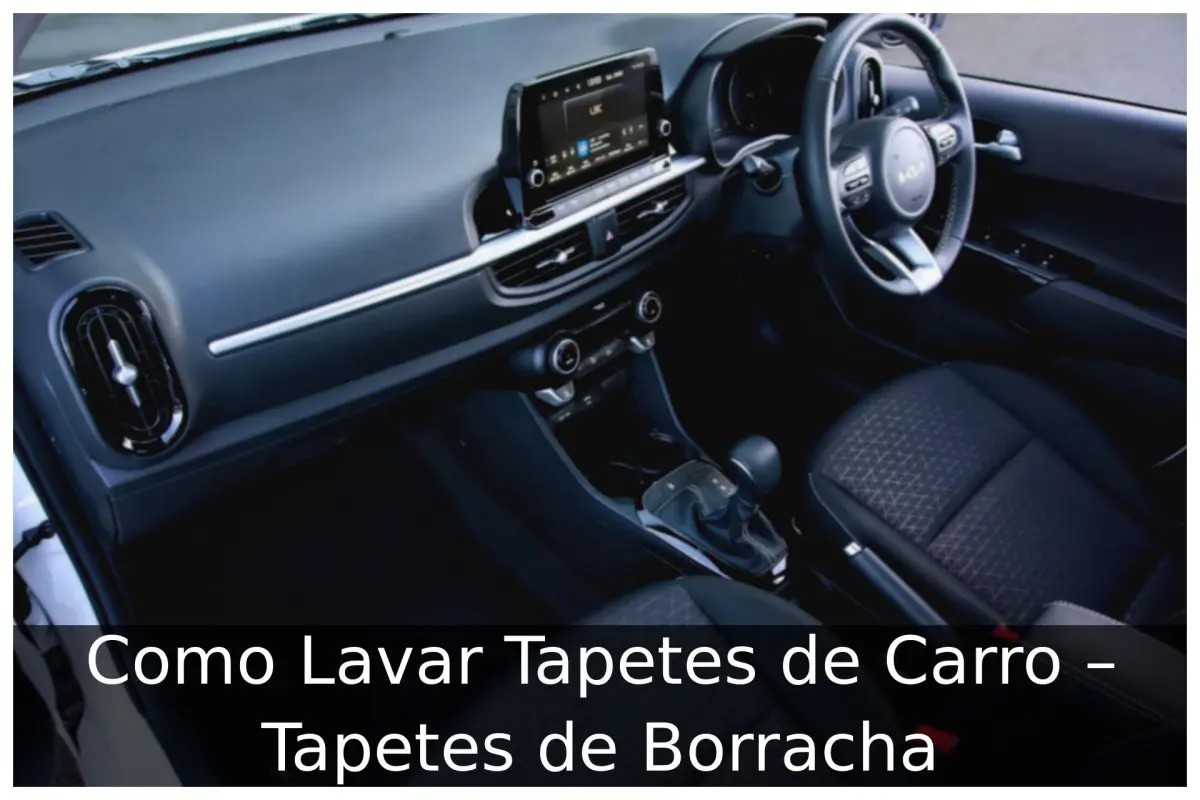 Como Lavar Tapetes de Carro – Tapetes de Borracha Como Lavar Tapetes de Carro - Tapetes de Borracha