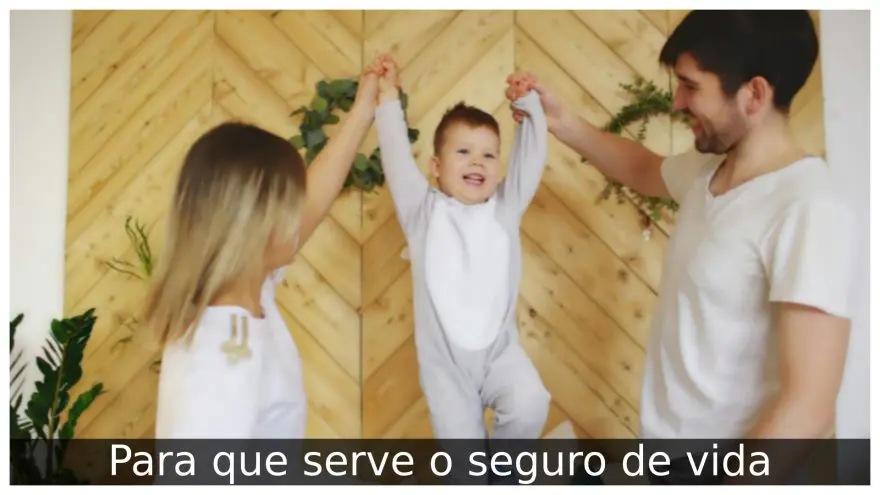 Para que serve o seguro de vida