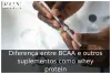 Diferença entre BCAA e outros suplementos como whey protein Diferença entre BCAA e outros suplementos como whey protein