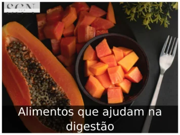 Alimentos que ajudam na digestão
