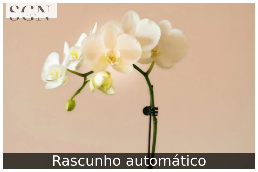 Guia Completo de Cultivo das Orquídeas