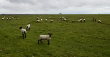 Quem foi Abel na Bíblia? Descubra sua história trágica