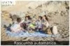 Como Planejar Festas Inesquecíveis Perto do Mar Como Planejar Festas Inesquecíveis Perto do Mar